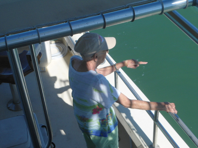 Dolphin Watch South Padre Island Texax